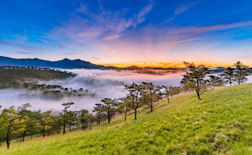vi sao nha dau tu do xo vao dat nen ven da lat